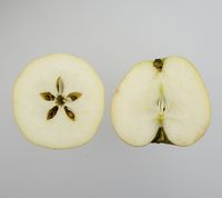 Tyrrestrup Kirsebæræble